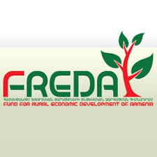 FREDA