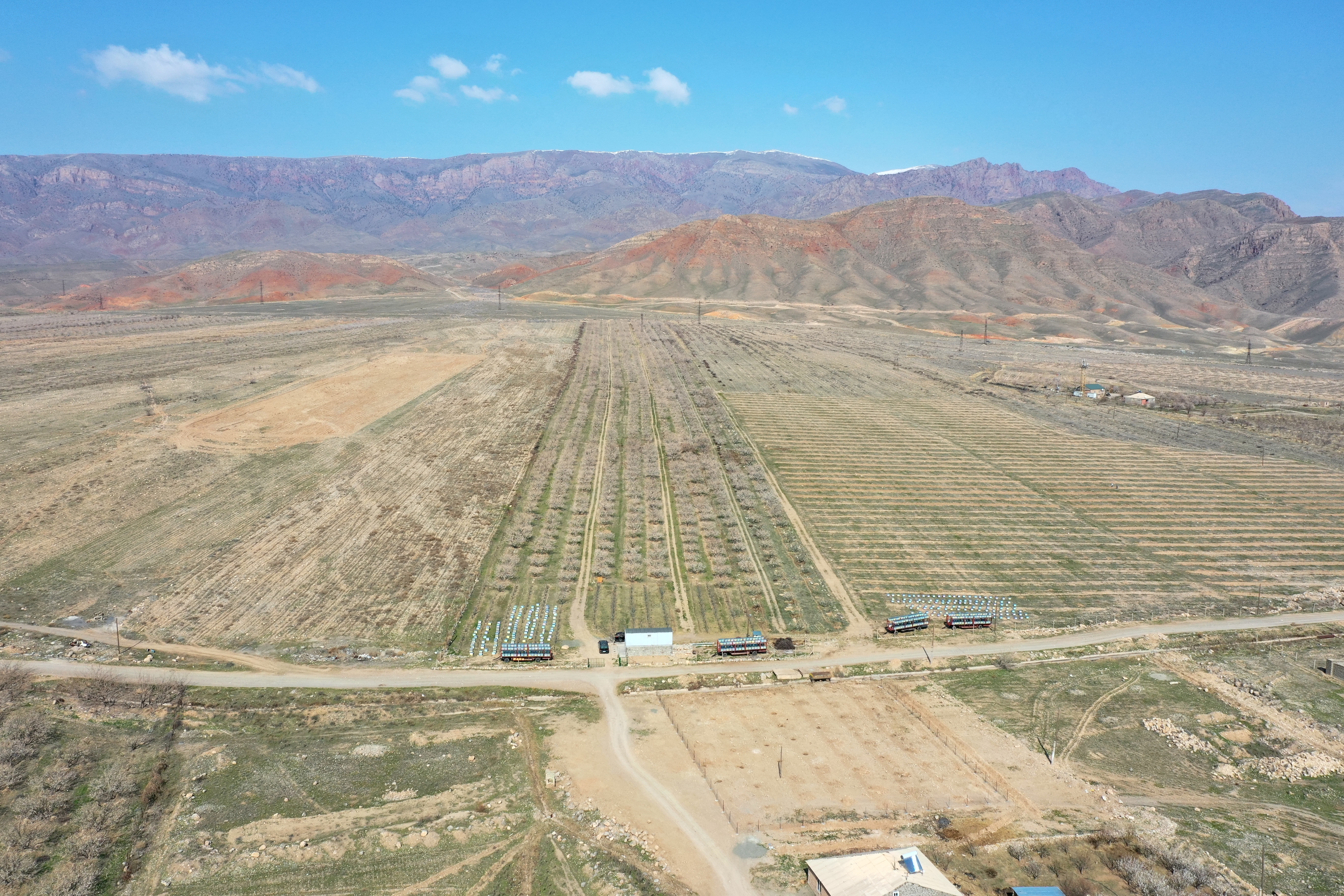 INTENSIVE ORCHARD IN ARMASH