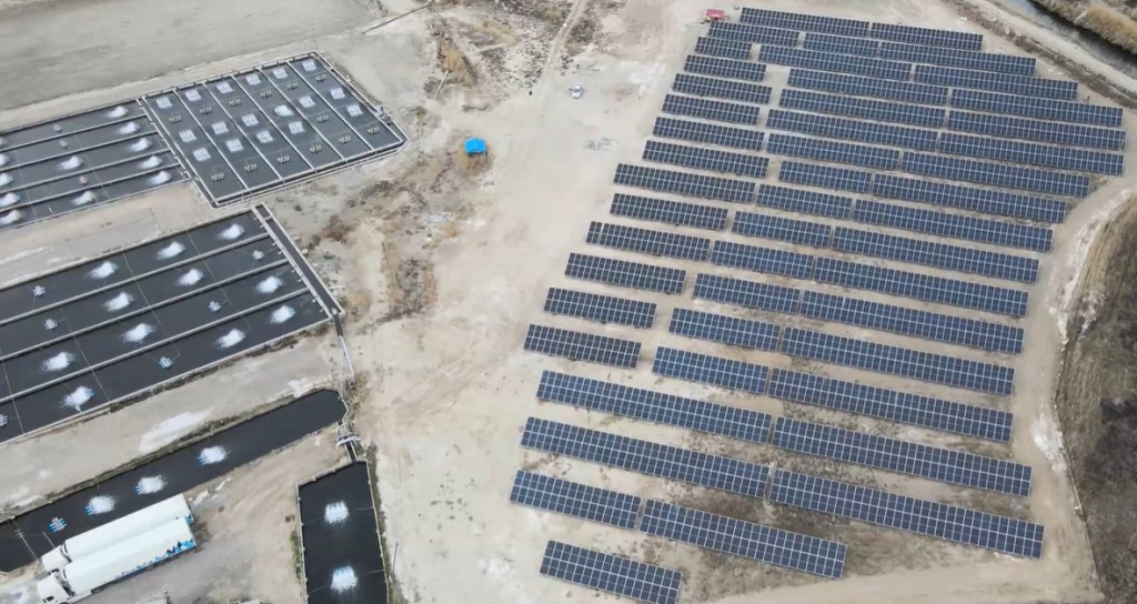 khachik karapetyan2.jpg